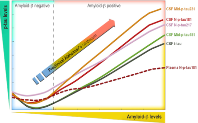 Novel tau biomarkers phosphorylated at T181, T217 or T231 rise in the initial stages of the preclinical Alzheimer’s continuum when only subtle changes in Aβ pathology are detected.