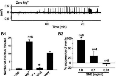 Synedrella nodiflora Extract Depresses Excitatory Synaptic Transmission and Chemically-Induced In Vitro Seizures in the Rat Hippocampus.