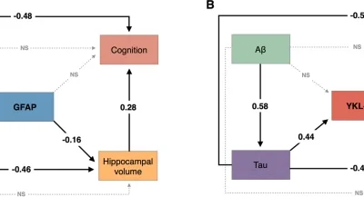 Astrocyte biomarker signatures of amyloid-β and tau pathologies in Alzheimer’s disease.