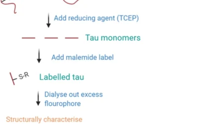 A Validated Method to Prepare Stable Tau Oligomers.