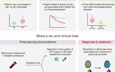 Plasma phospho-tau in Alzheimer’s disease: towards diagnostic and therapeutic trial applications.