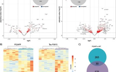 Hippocampal GFAP-positive astrocyte responses to amyloid and tau pathologies.