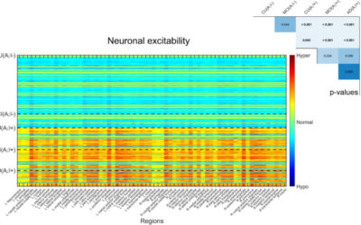 Revealing the combined roles of Aβ and tau in Alzheimer’s disease via a pathophysiological activity decoder.