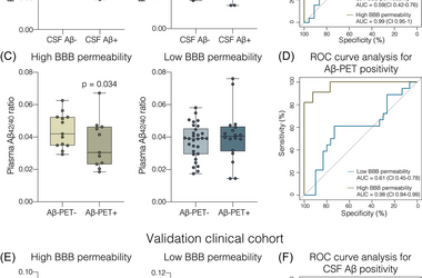 Blood-brain barrier integrity impacts the use of plasma amyloid-β as a proxy of brain amyloid-β pathology.