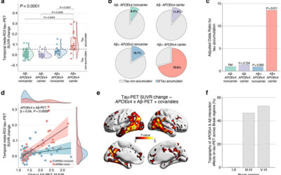 APOEε4 potentiates amyloid β effects on longitudinal tau pathology.