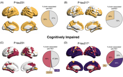 Plasma p-tau231 and p-tau217 inform on tau tangles aggregation in cognitively impaired individuals.