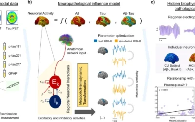 Personalized whole-brain neural mass models reveal combined Aβ and tau hyperexcitable influences in Alzheimer’s disease.