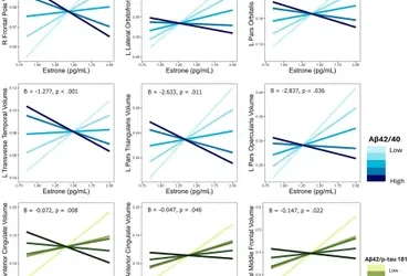 Associations of endogenous estrogens, plasma Alzheimer’s disease biomarkers, and APOE4 carrier status on regional brain volumes in postmenopausal women.