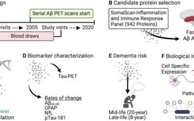 Proteome-wide analysis identifies plasma immune regulators of amyloid-beta progression.