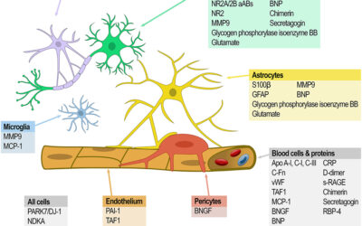 An ethanolic extract of Desmodium adscendens exhibits antipsychotic-like activity in mice.