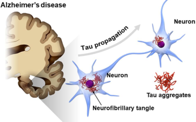 International Science Education.