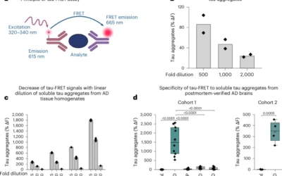 Phospho-tau serine-262 and serine-356 as biomarkers of pre-tangle soluble tau assemblies in Alzheimer’s disease