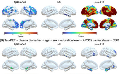 Plasma biomarkers identify brain ATN abnormalities in a dementia-free population-based cohort