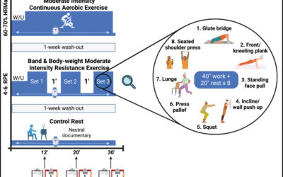 Understanding Cerebral Blood Flow Dynamics for Alzheimer’s Disease Prevention Through Acute Exercise (flADex): Protocol for a Randomized Crossover Trial.